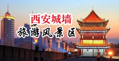 内窥镜下的爱爱中国陕西-西安城墙旅游风景区